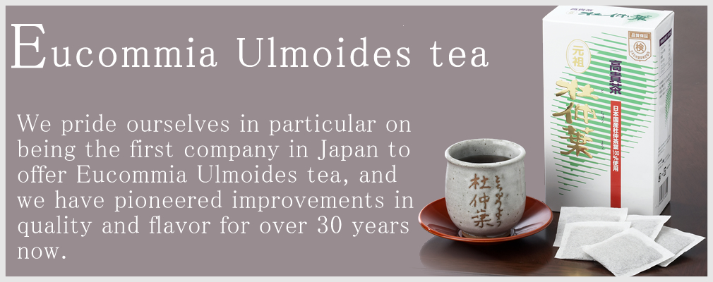 Japanese Eucommia Ulmoides tea